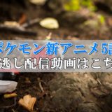 ポケモン新アニメ5話見逃し配信動画